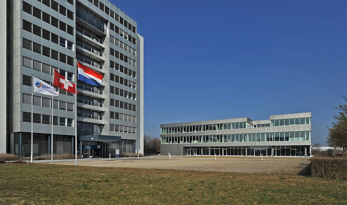 DSM